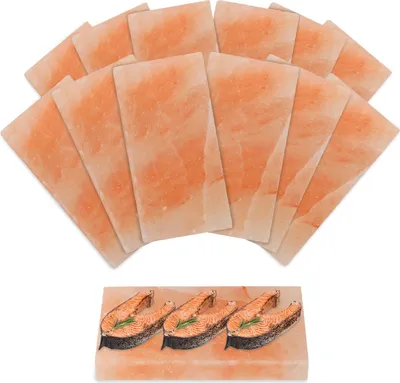 Produktbild von Faziango 12x Grill Salzstein Salzplatte 20x10x2,5cm Natur Salzfliese für BBQ Gasgrill & Backofen