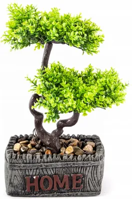 Produktbild von Künstlicher Bonsai im Topf 25cm Deko Pflanze Kunstbaum Pflegeleicht Wohnzimmer Büro