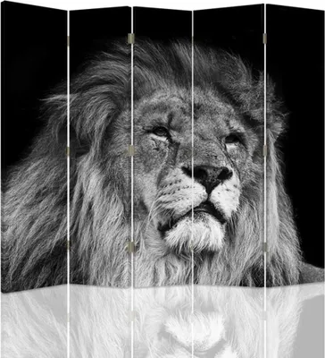 Produktbild von Paravent - Raumteiler Black And White Lion - Dekorativer Raumtrenner cm. 180x170 (5 x)