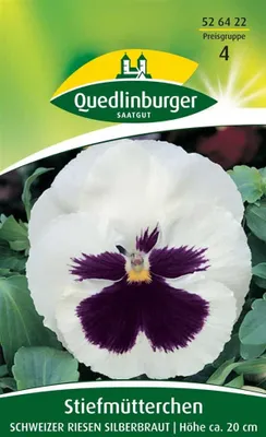 Produktbild von Quedlinburger Saatgut - Stiefmütterchen Schweizer Riesen Silberbraut - Samen - 526422