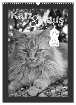 Produktbild von Katz & Maus (Wandkalender 2027 DIN A3 hoch), CALVENDO Monatskalender
