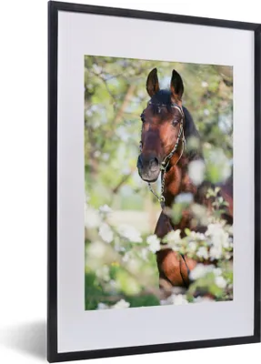 Produktbild von MuchoWow® MuchoWow® Gerahmtes Poster Pferde - Blüte - Frühling - Tiere 40x60 cm - Poster mit zchwarzem Bilderrahmen - Poster in Rahmen