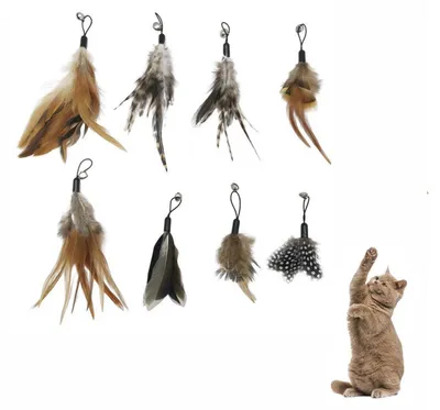 Produktbild von Katzenspielzeug 8 Stück Federspielzeug Set für Katzen und Kätzchen