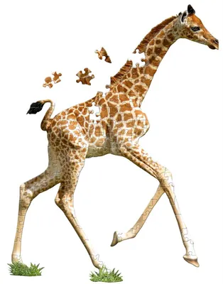 Immagine prodotto di Puzzle Contour 100 I am Lil - Giraffa