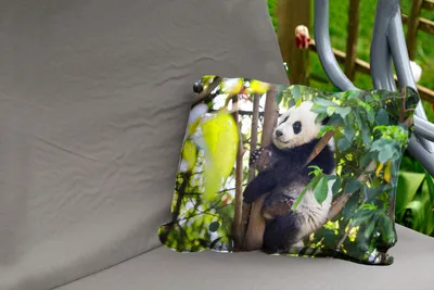 Produktbild von MuchoWow® Outdoor Kissen - Panda - Tier - Baum - 60x40 cm - Wetterfest - Lounge Kissen - Zierkissen - Kissen für Innenräume