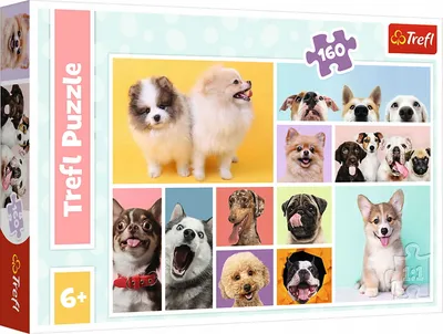 Produktbild von TREFL Hund Freundschaft Puzzle 160 Teile