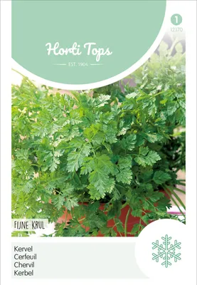 Produktbild von Kerbel Krause | Kerbelsamen von Hortitops