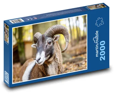 Obrázek produktu pro Puzzle 2000 Muflon v podzimním lese - martinpuzzle