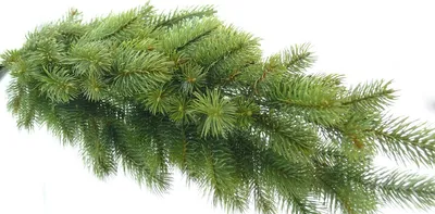 Produktbild von Weihnachtsdekoration Tannenzweig Grün - Kunststoff 57 cm