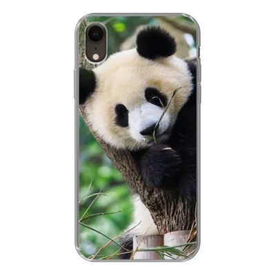 Produktbild von MuchoWow® Handyhülle Schutzhülle Hülle für iPhone XR Panda - Tiere - Dschungel - Natur Silikon Softcase Handy Hülle - Schutzdeckel