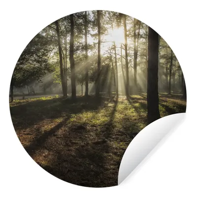 Produktbild von MuchoWow® Runde Wandtattoo - Wandsticker Tapete Aufkleber Wald - Sonne - Nebel Ø 50 cm Selbstklebend und Repositionierbar - Wandaufkleber - Kreis - Wand Kreis - Wand Bild - Foto Tapete - Selbstklebende - Wohnzimmerdekoration - Wand Dekoration - Kinderzimmer