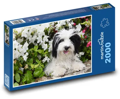 Produktbild von Puzzle 2000 Hund zwischen Blumen - martinpuzzle