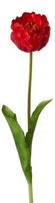 Produktbild von Künstliche Tulpe gefüllt ca. 58cm. Kunstblume "Real-Touch". Rot
