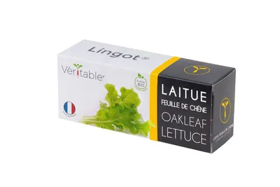 Zdjęcie produktu dla Véritable NBBX23XXXXVB, Sałata, 4 tygodni