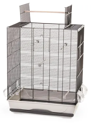 Produktbild von Vogelkäfig Wellensittich Kanarien mit Freisitz 56 x 37 x 74 cm