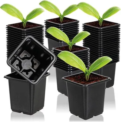 Productafbeelding van Famanu zaadkweekset met 60 plantenpotjes - zwart