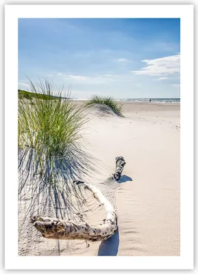 Produktbild von Poster - Poster ohne Rahmen - Mrzezyno Strand Meer - 50x70 cm - Wand Bild - Wanddeko - Wandbilder - Kunstposter - Wandposter - Bilder - Kunstdruck - Wanddekoration - Wandbild - P2XPA50x70-4281