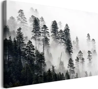 Obrázek produktu pro Atmosférický obraz na plátně do obývacího pokoje Les v mlze 80x120cm