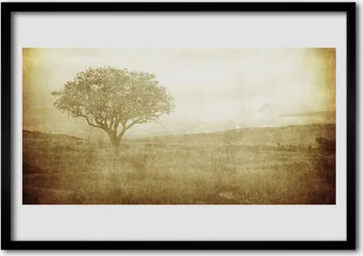 Produktbild von Bild 100x70 MDF-Rahmen Wandkunst Baum Natur