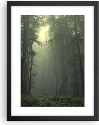 Produktbild von Gerahmtes Poster - Schwarzer Rahmen - Wald Nebel Baum - 30x40 cm - Wand Bild - Wanddeko - Wandbilder - Kunstposter - Wandposter - Bilderrahmen - Bilder - Kunstdruck - Wandbild - P2BPA30x40-3543
