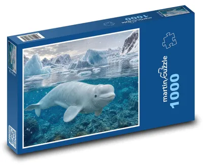 Obrázek produktu pro Puzzle 1000 Běluha na ledovém moři - martinpuzzle
