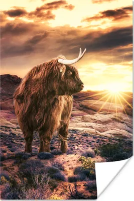 Produktbild von MuchoWow® Poster Schottisches Hochlandrind - Sonnenuntergang - Tier 40x60 cm - Plakate für die Wand - Poster Babyzimmer