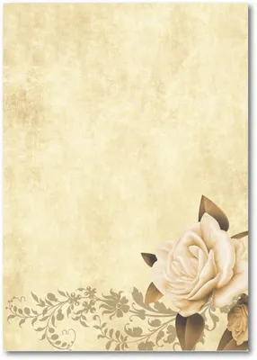 Produktbild von Motiv Briefpapier (Blumen-5006, A4, 100 Blatt). Einseitig bedrucktes Briefpapier,  beschreibbar, für alle Drucker/Kopierer geeignet
