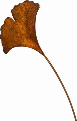 Produktbild von Ginkgo Blatt Rost Deko für Garten Terrasse oder Balkon