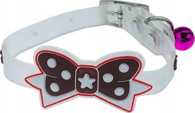 Produktbild von Katzenhalsband mit Glocke und COOKARD-Gummi