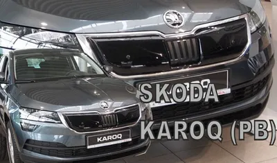 Produktbild von Winterkühlergrill Skoda Karoq 2017-2022 (vor Facelift)