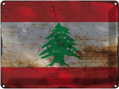 Produktbild von vianmo Blechschild 30x40 cm Libanon Lebanon Flagge Fahne Wappen