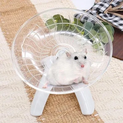 Produktbild von Kleine weiße Kunststoff-Laufscheibe für Hamster