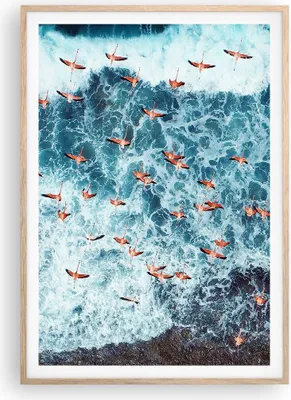 Produktbild von Gerahmtes Poster - Rahmen in heller Eiche - Flamingos Karibik Vögel - 70x100 cm - Wand Bild - Wanddeko - Wandbilder - Kunstposter - Wandposter - Bilderrahmen - Bilder - Kunstdruck - P2NPA70x100-5013