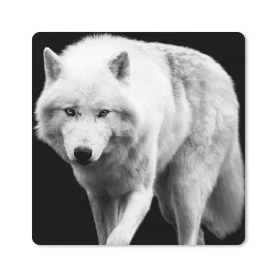 Produktbild von MuchoWow® Mauspad Mousepad Wolf - Tier - Schwarz - Weiß 30x30 cm - Mousepads - Maus Mat - Pad - Mausunterlage - Gaming