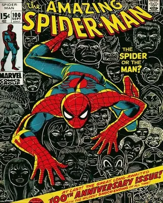 Obrázek produktu pro Spider-Man – obálka Marvel – 40 x 50 cm – plakát