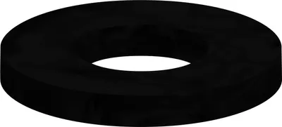 Immagine prodotto di KWC AR Dichtung, 21x10x2mm, 2000104668