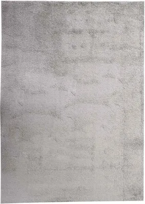 Produktbild von Hochflorteppich - Silberfarben - 120 x 170 cm