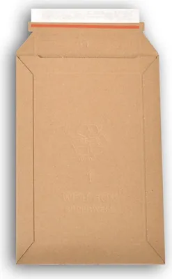 Image de Lot de 5 enveloppes carton wellbox 1 format 176x270 mm