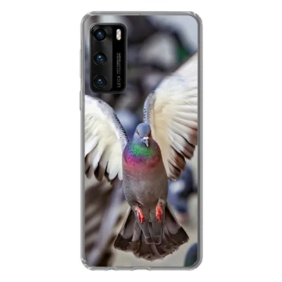 Produktbild von MuchoWow® Handyhülle Schutzhülle Hülle für Huawei P40 Nahaufnahme einer fliegenden Taube Silikon Softcase Handy Hülle - Handytasche