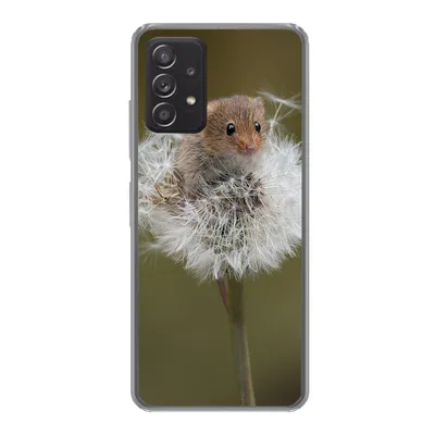 Produktbild von MuchoWow® Handyhülle Schutzhülle Hülle für Samsung galaxy a73 Maus - Jung - Blumen Silikon Softcase Handy Hülle - Handyhülle