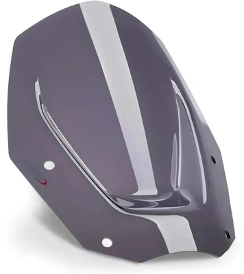 Produktbild von Puig 21794f Sport Bmw R1300gs 2024 Windschutzscheibe Silber  Silber One Size