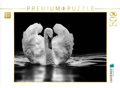 Produktbild von CALVENDO Puzzle Höckerschwan | 500 Teile Lege-Größe 48 × 36 cm Foto-Puzzle für Erwachsene