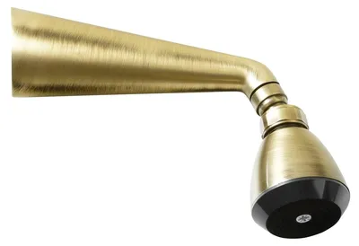 Produktbild von Sapho Dusche mit Drehgelenk, Bronze