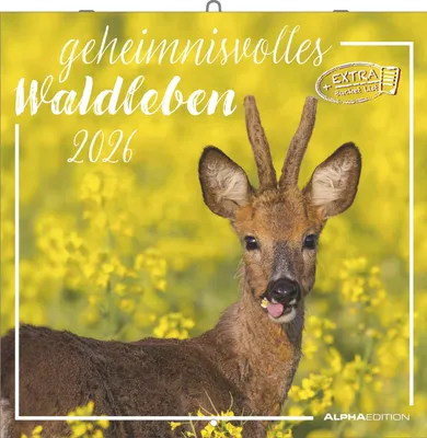 Immagine prodotto di Vita da foresta misteriosa 2026 - Calendario a brochure 30x30 cm (aperto 30x60) - Calendario con spazio per appunti - Animali da foresta - Calendario illustrato - Calendario da parete