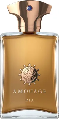 Produktbild von Amouage Amouage Dia Man Eau De Parfum 100 ml (man)