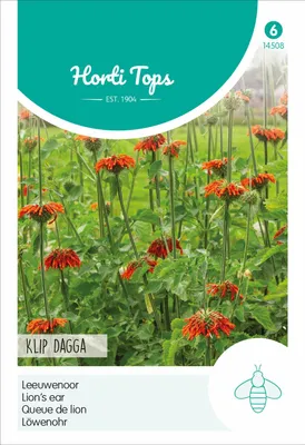 Artikelbild 2 von 'Löwenohr Klip Dagga' aus der Kategorie Blumensamen