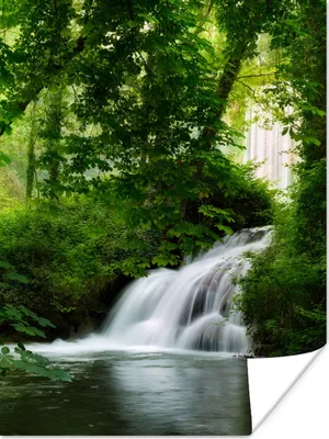 Produktbild von MuchoWow® Poster Wasserfall - Natur - Grün 90x120 cm - Wohnzimmer