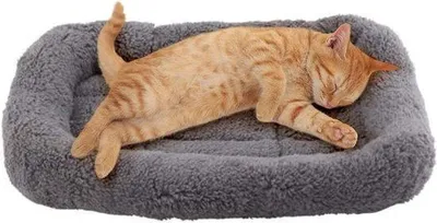 Produktbild von Famanu Katzenbett Plüsch - Warmplatz für kleine Hunde, Katzen und Kaninchen - Grau