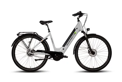 Produktbild von SAXONETTE Premium Plus 3.0 Wave 28" E-Bike, Pedelec mit Mittelmotor, 8-Gang Nexus Nabenschaltung, 36V 14,5Ah Akku, RH 50 (silber matt)