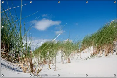 Produktbild von Wallario Outdoor-Poster für Garten oder Balkon, Motiv Düne am Strand unter blauem Himmel, in ca. 120 x 180 cm